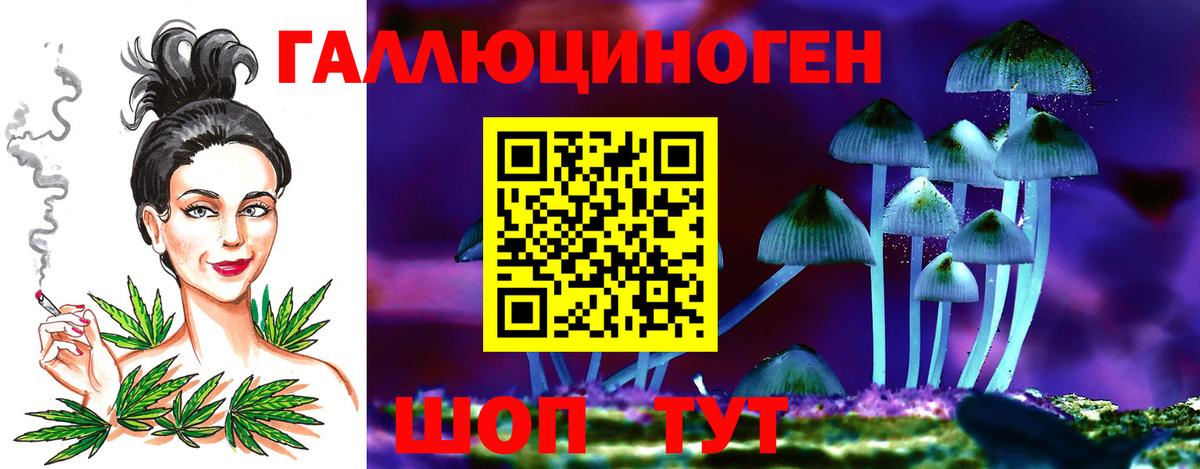 Новотроицк  Галлюциногенные грибы Psilocybine cubensis  Вход с VPN 