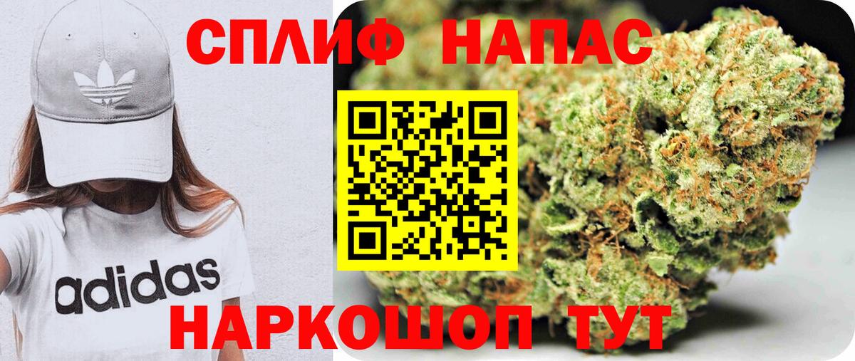 Каннабис гибрид Новотроицк